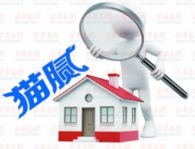 阅读会计报表需要重点关注的科目,猫腻就在其中